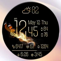 PER55 Animated Butterfly